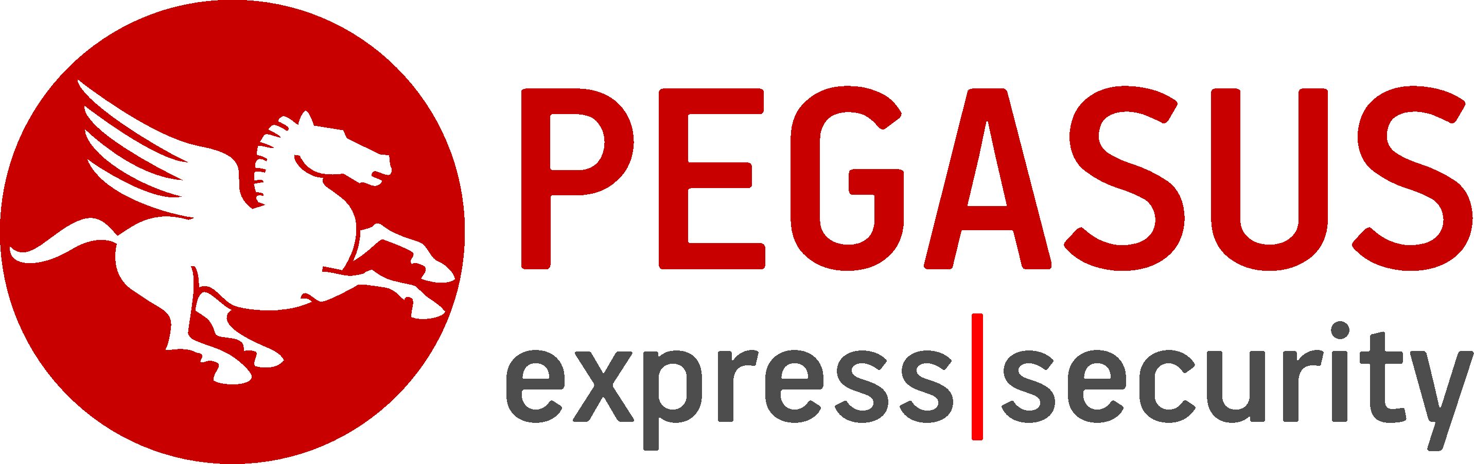 logo pegasus.jpg